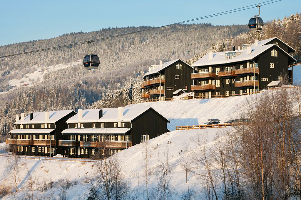 Jaertunet