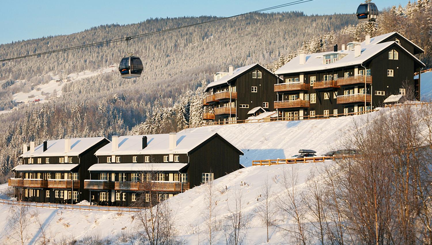 Jaertunet