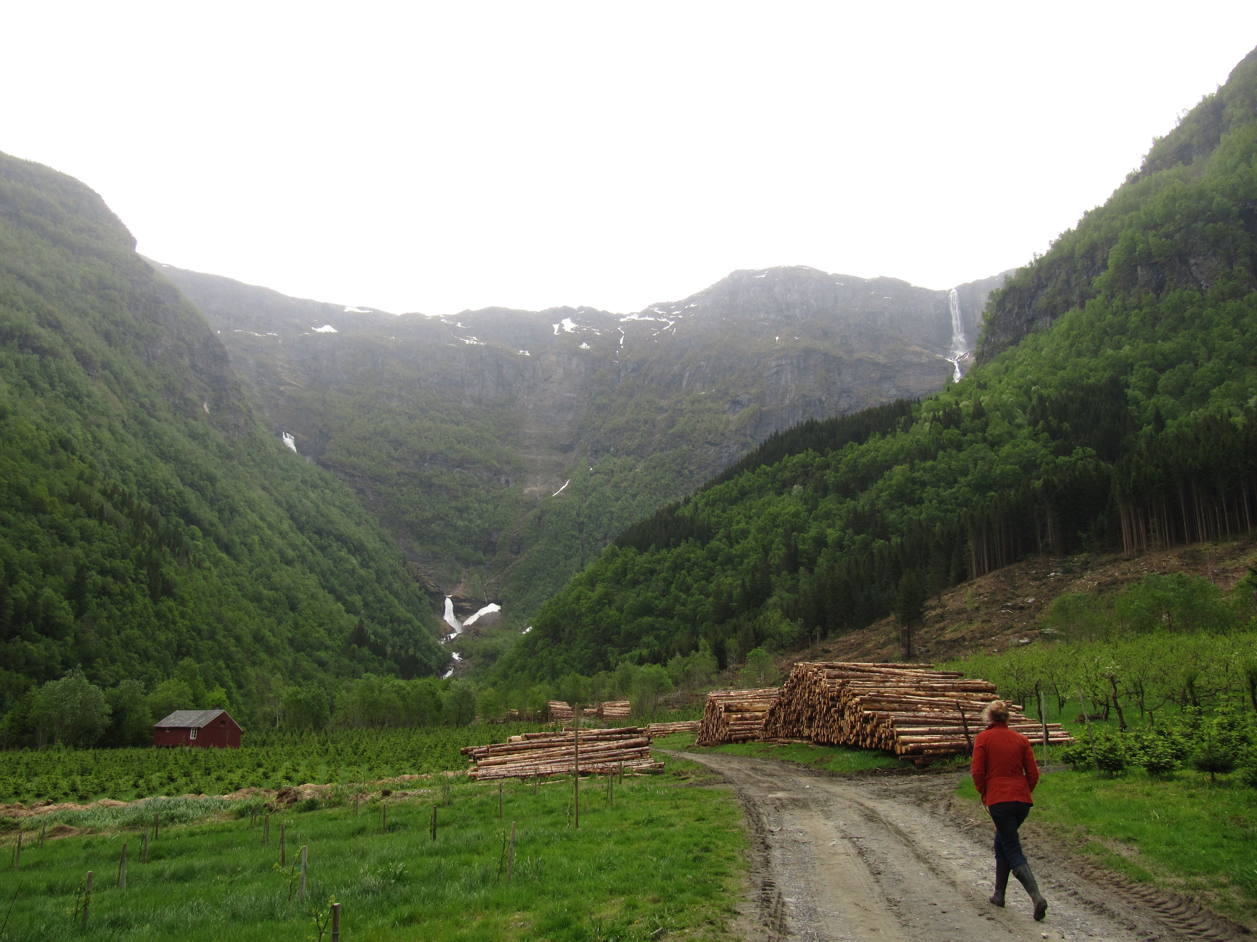 Timber stacks and green hills along the trail towards the waterfall in Elvedalen, Lofthus.