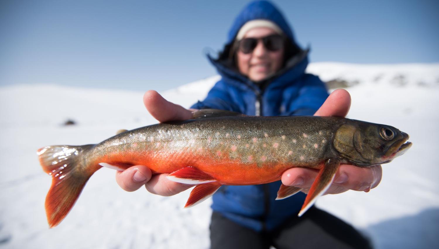 Ice fishing with your personal guide