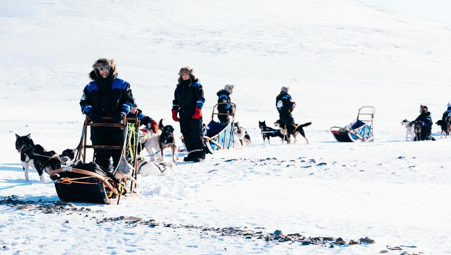 Group with dog sleds