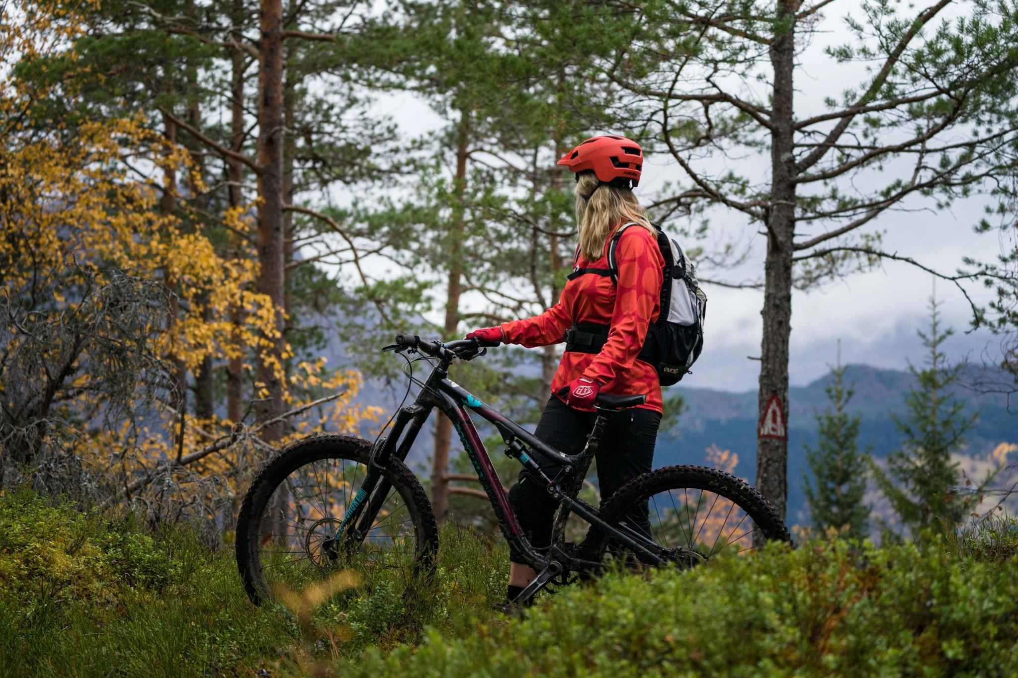 E-BIKE RENTAL | Nordfjord Aktiv