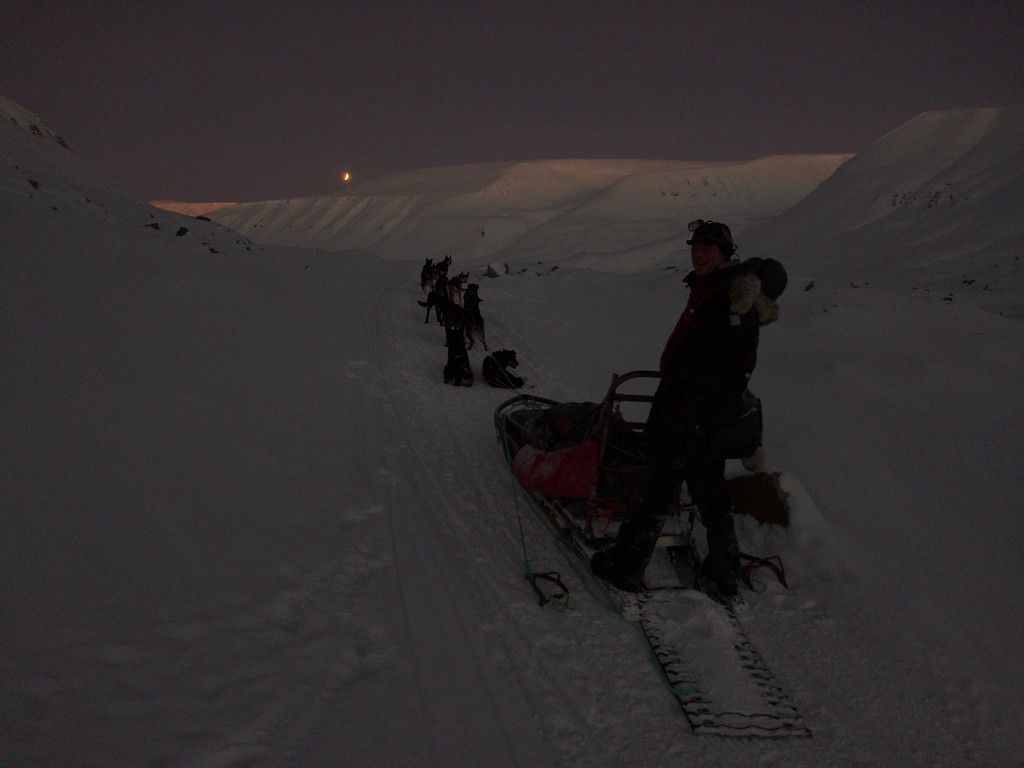 A person on the back of a dog sled at dusk