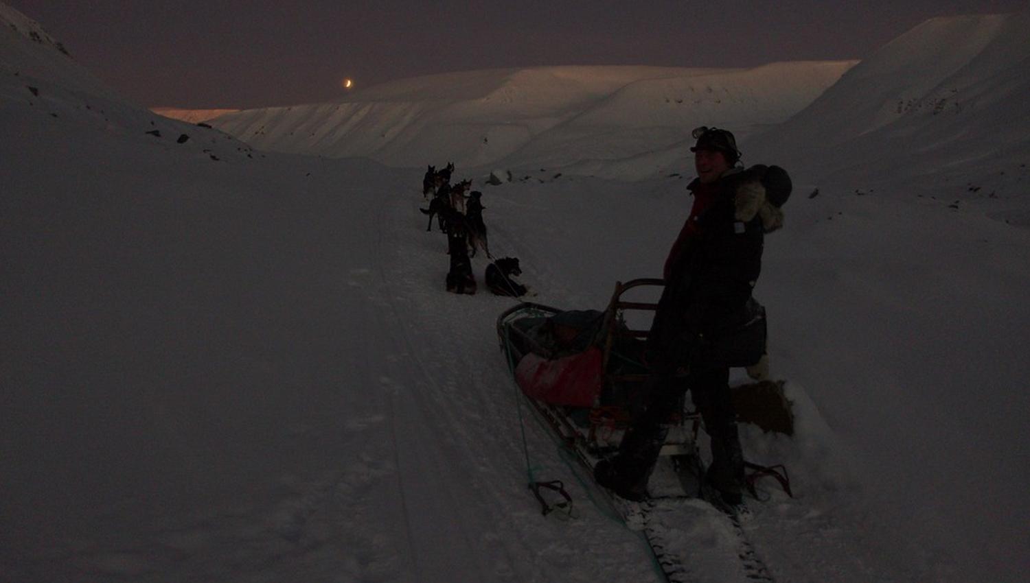 A person on the back of a dog sled at dusk