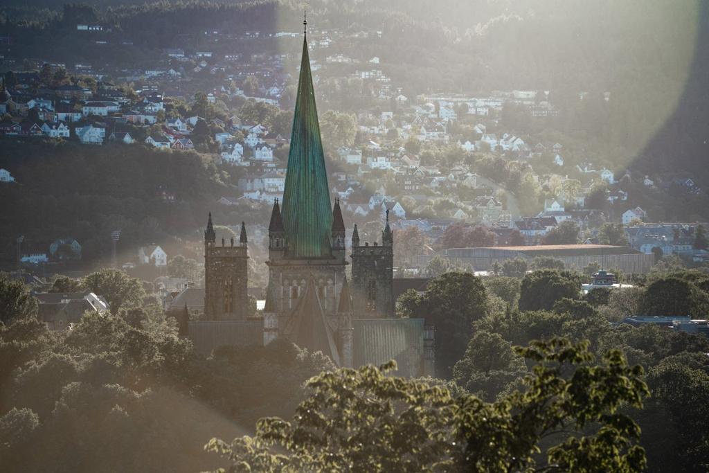 Summer organ series in Nidaros Cathedral