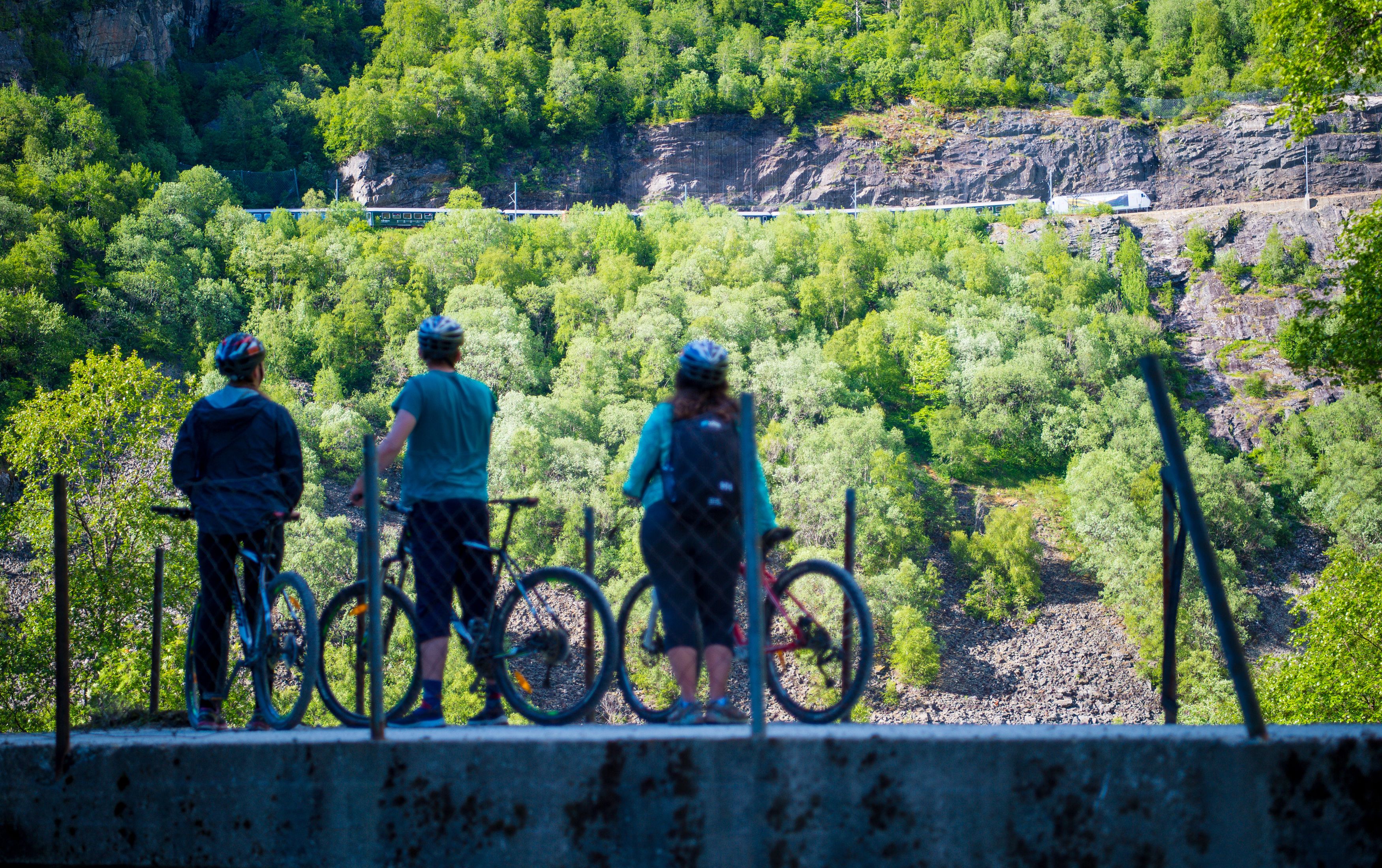 Cycling the Flåm valley