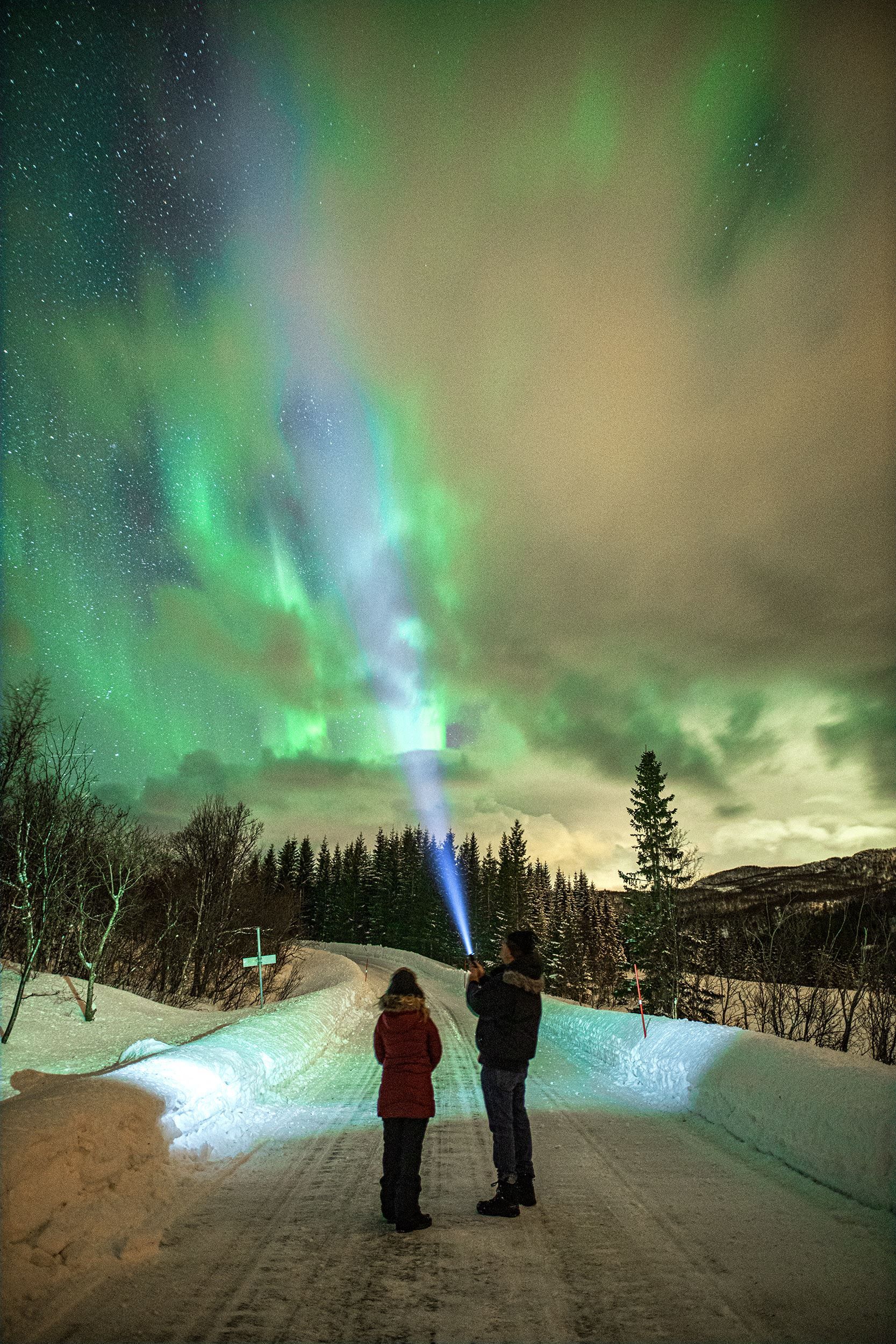 Northern Lights over the road