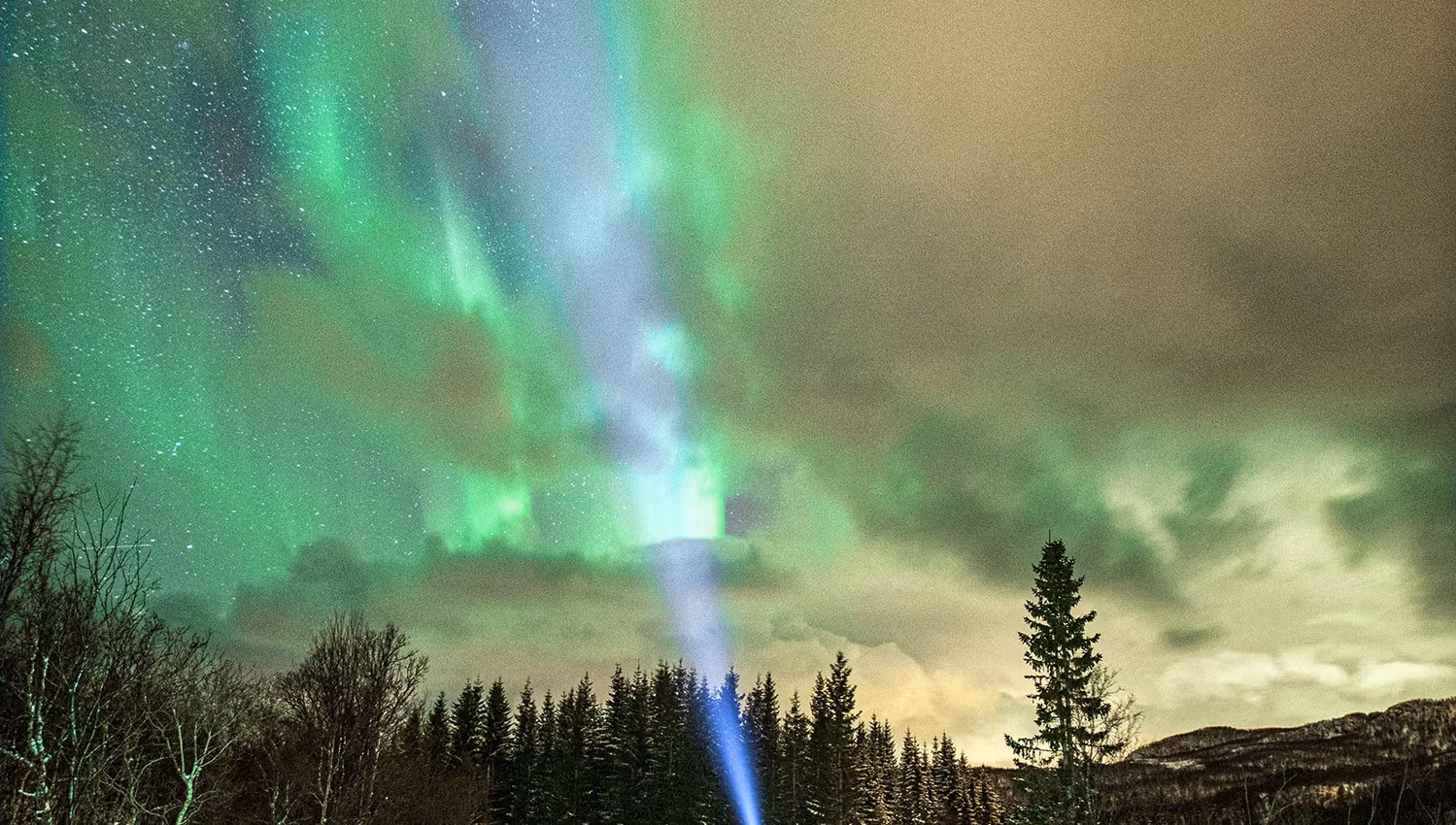 Northern Lights over the road