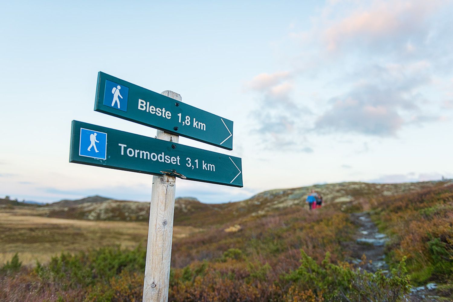 Sti og støl