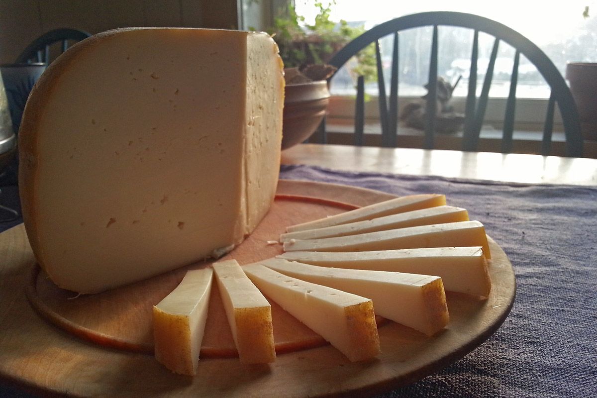 Farm made cheese from Olestølen Mikroysteri