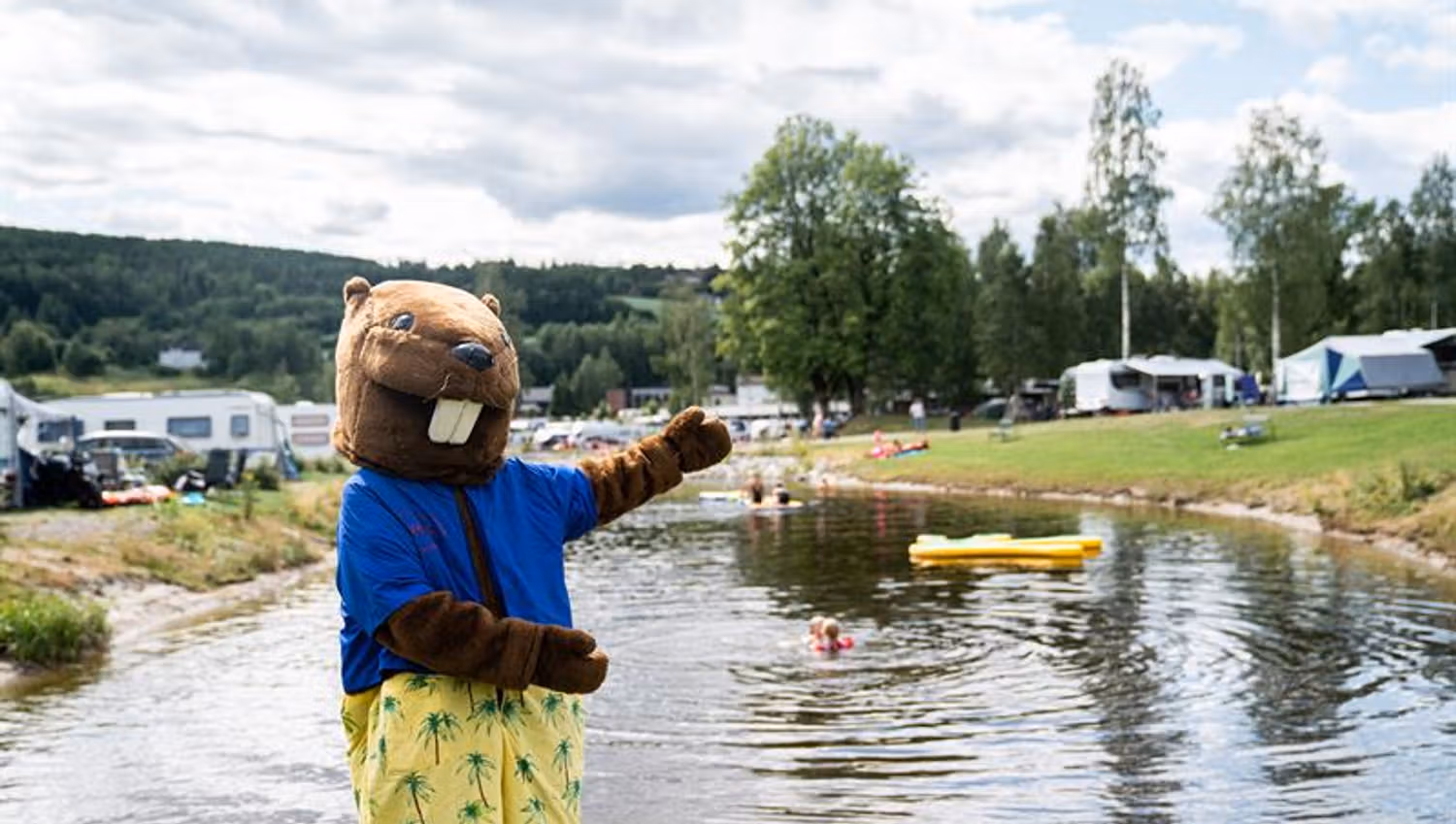 bever fra Beverøya Camping
