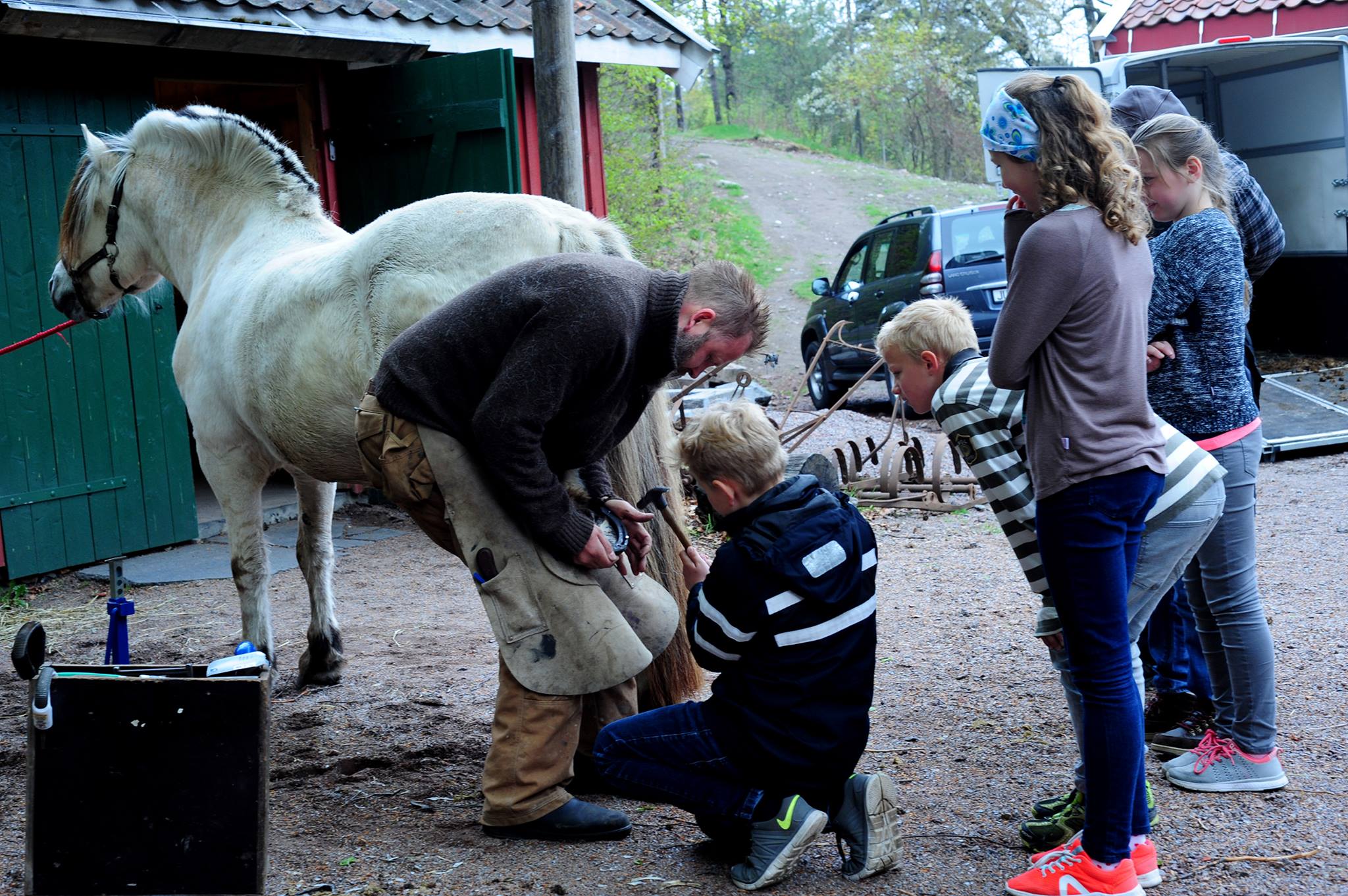 Hest får nye sko