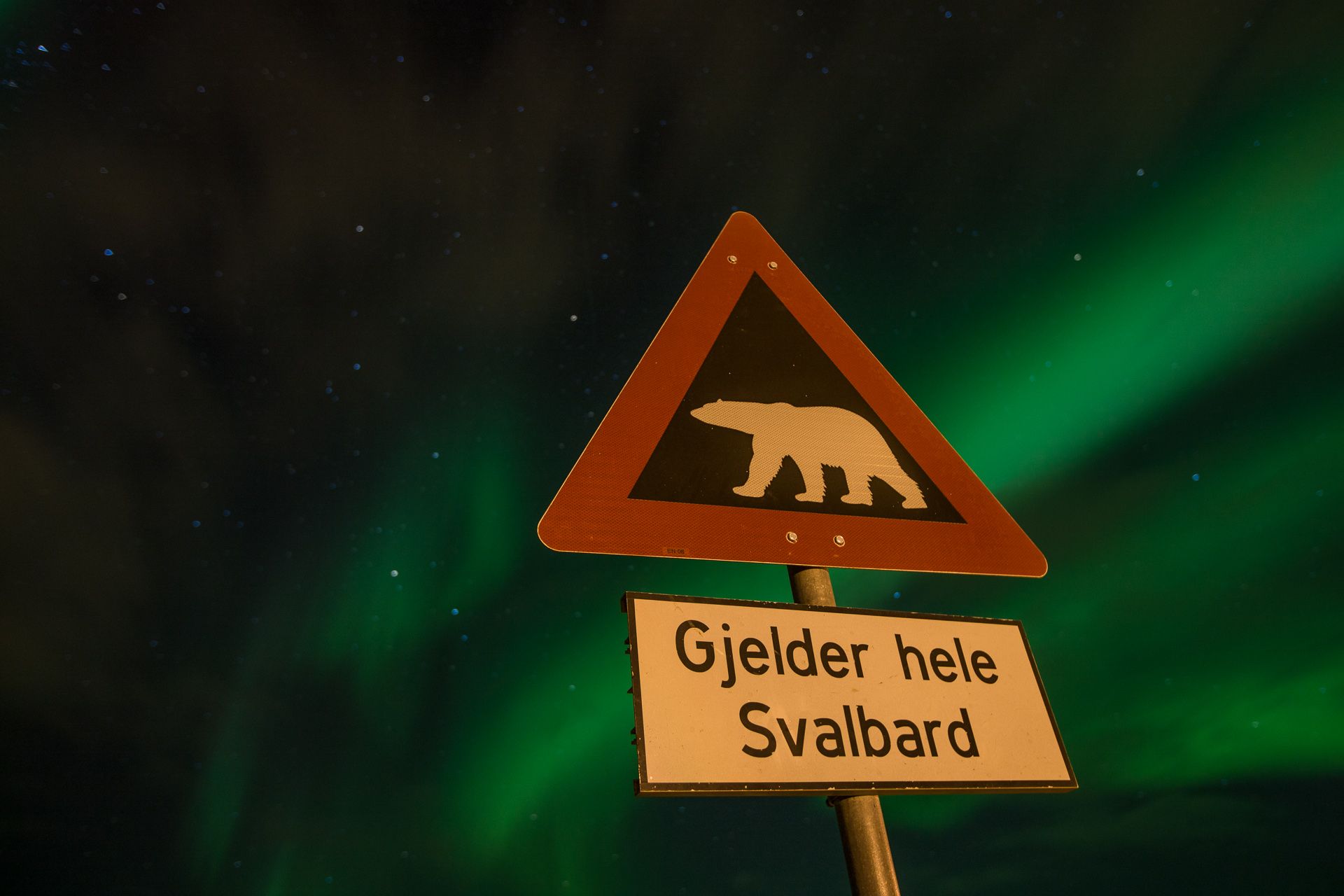 A polar bear warning sign in the foreground with northern lights in the skies in the background
