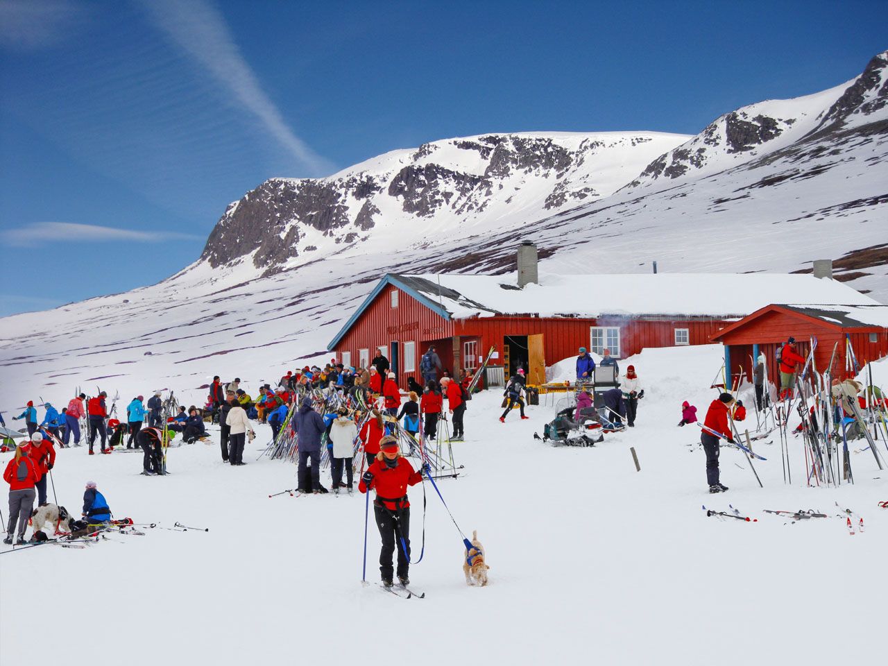 Prestholt_vinter
