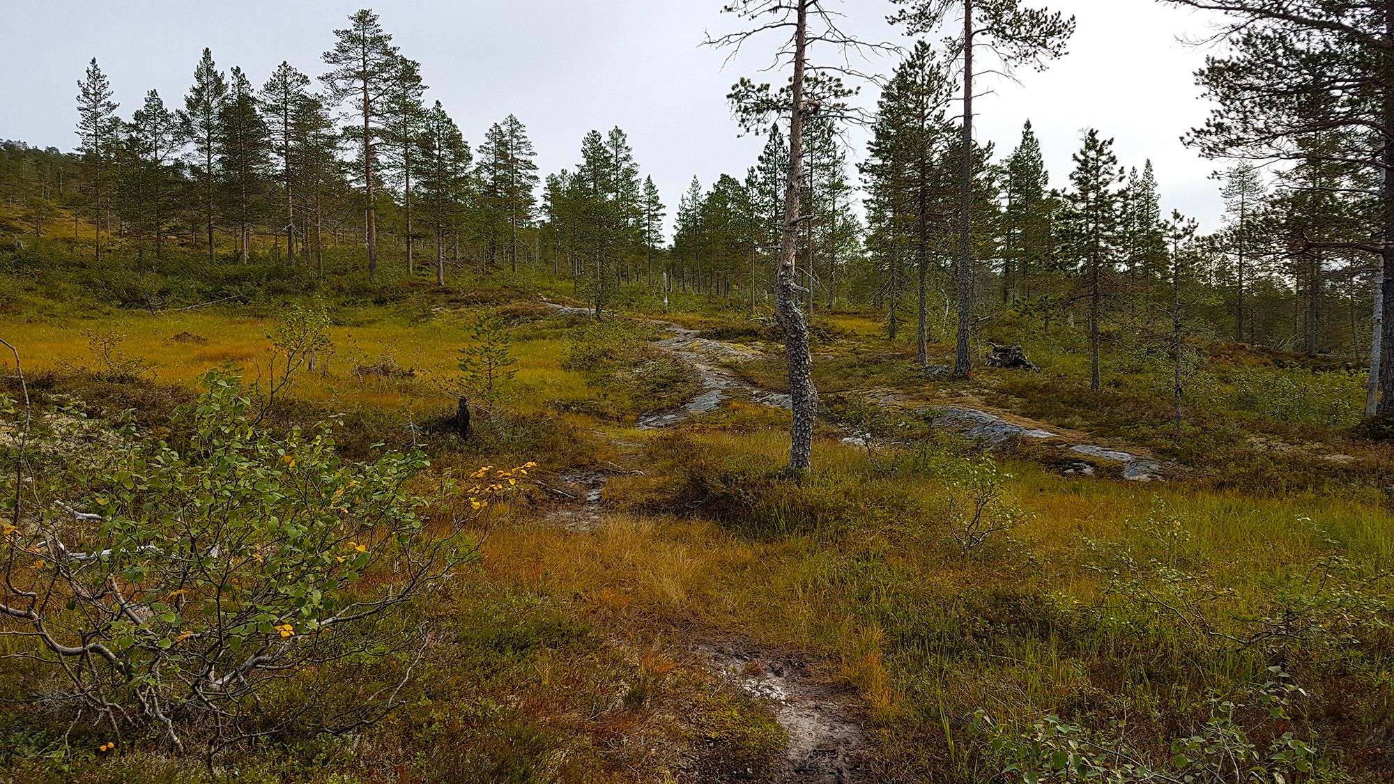 From the trail between Storsjøen and Andorsjøhytta cabin