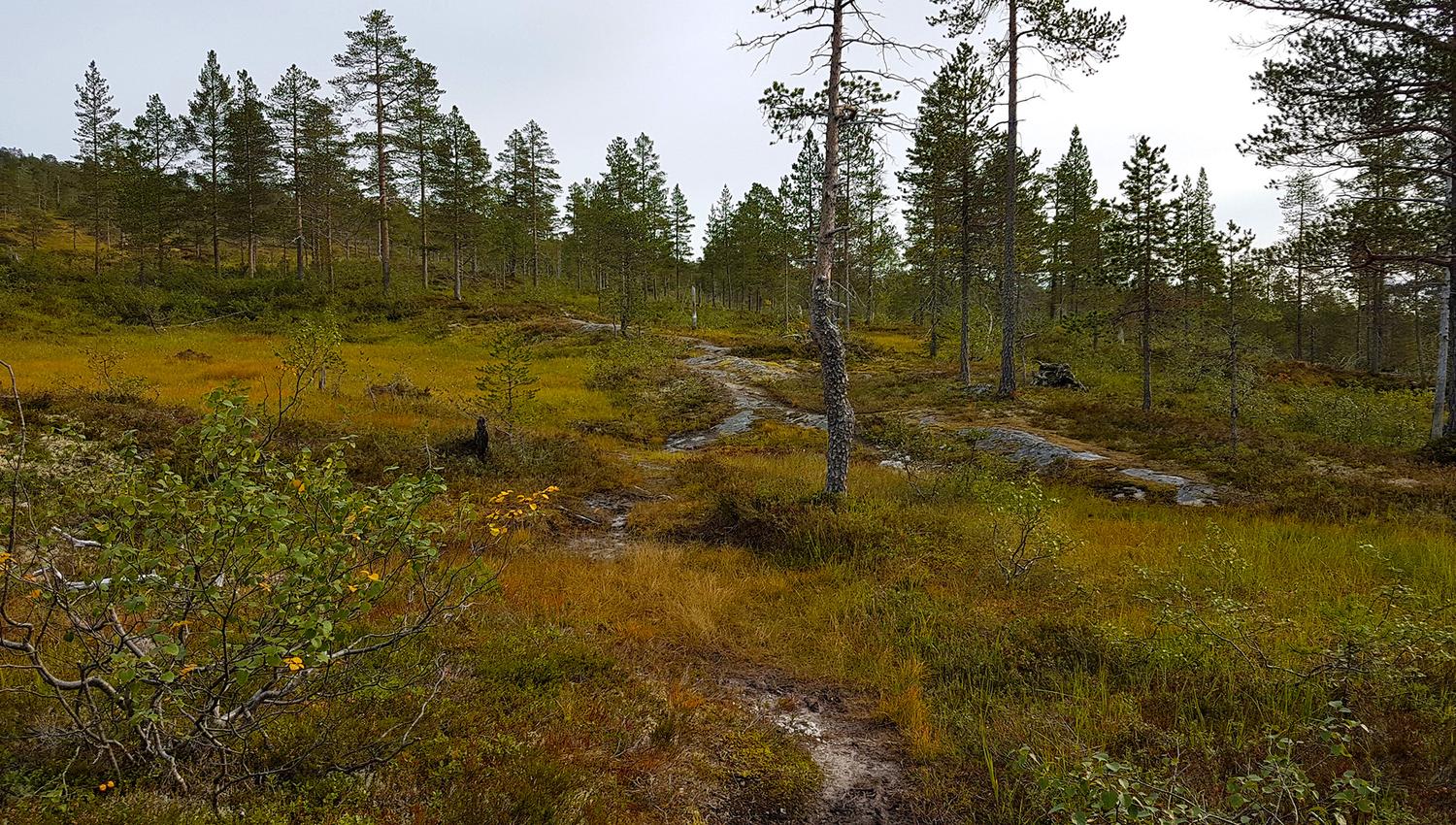 From the trail between Storsjøen and Andorsjøhytta cabin