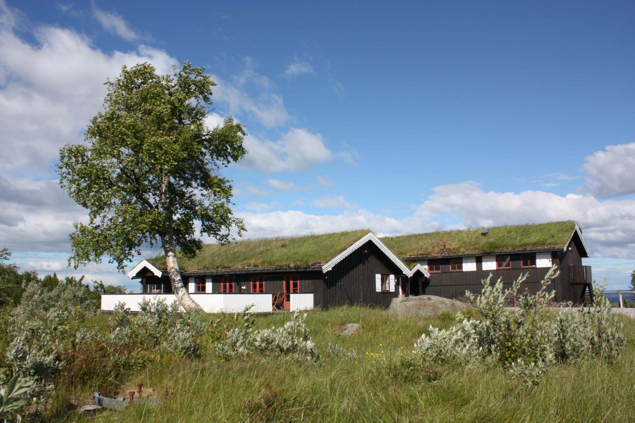 Lifjellstua