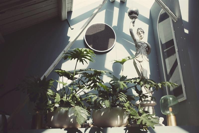 Two potted plants and a statue.