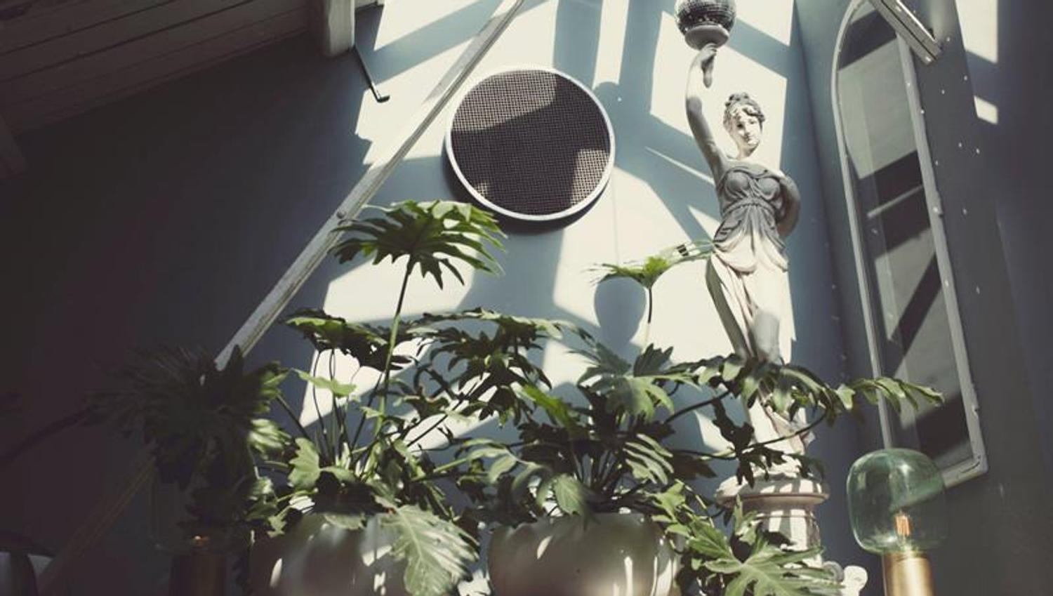 Two potted plants and a statue.