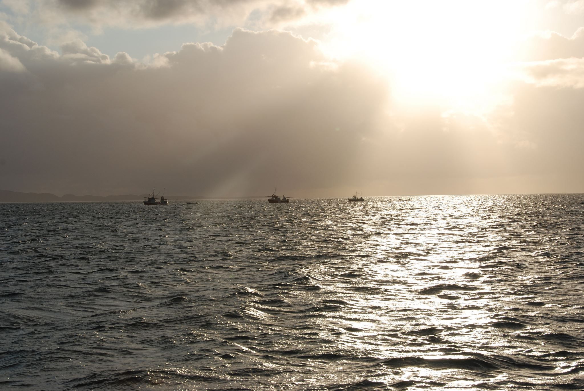 Fiskebåter ute på havet