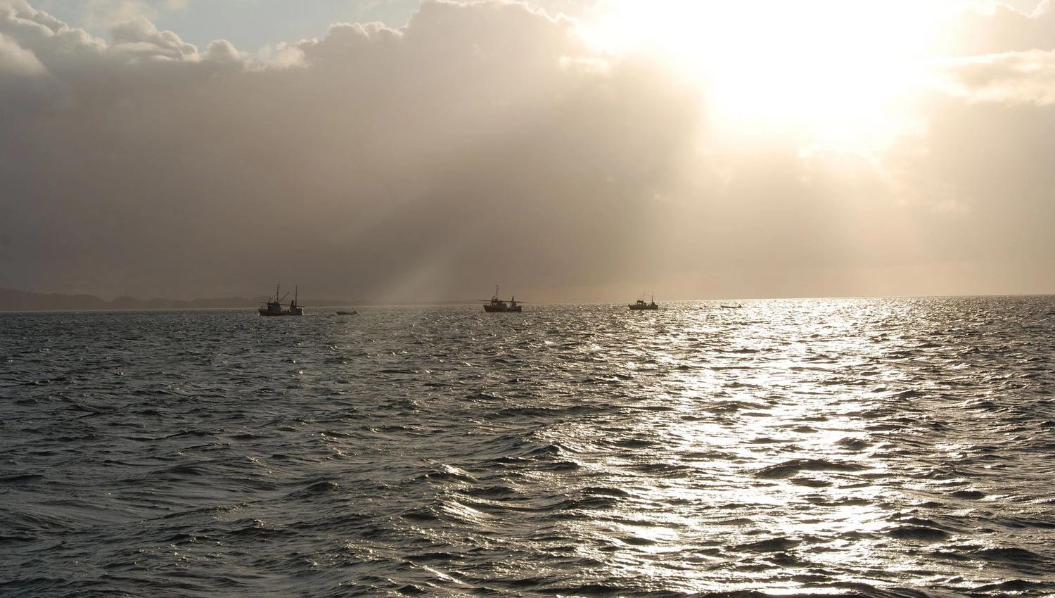 Fiskebåter ute på havet