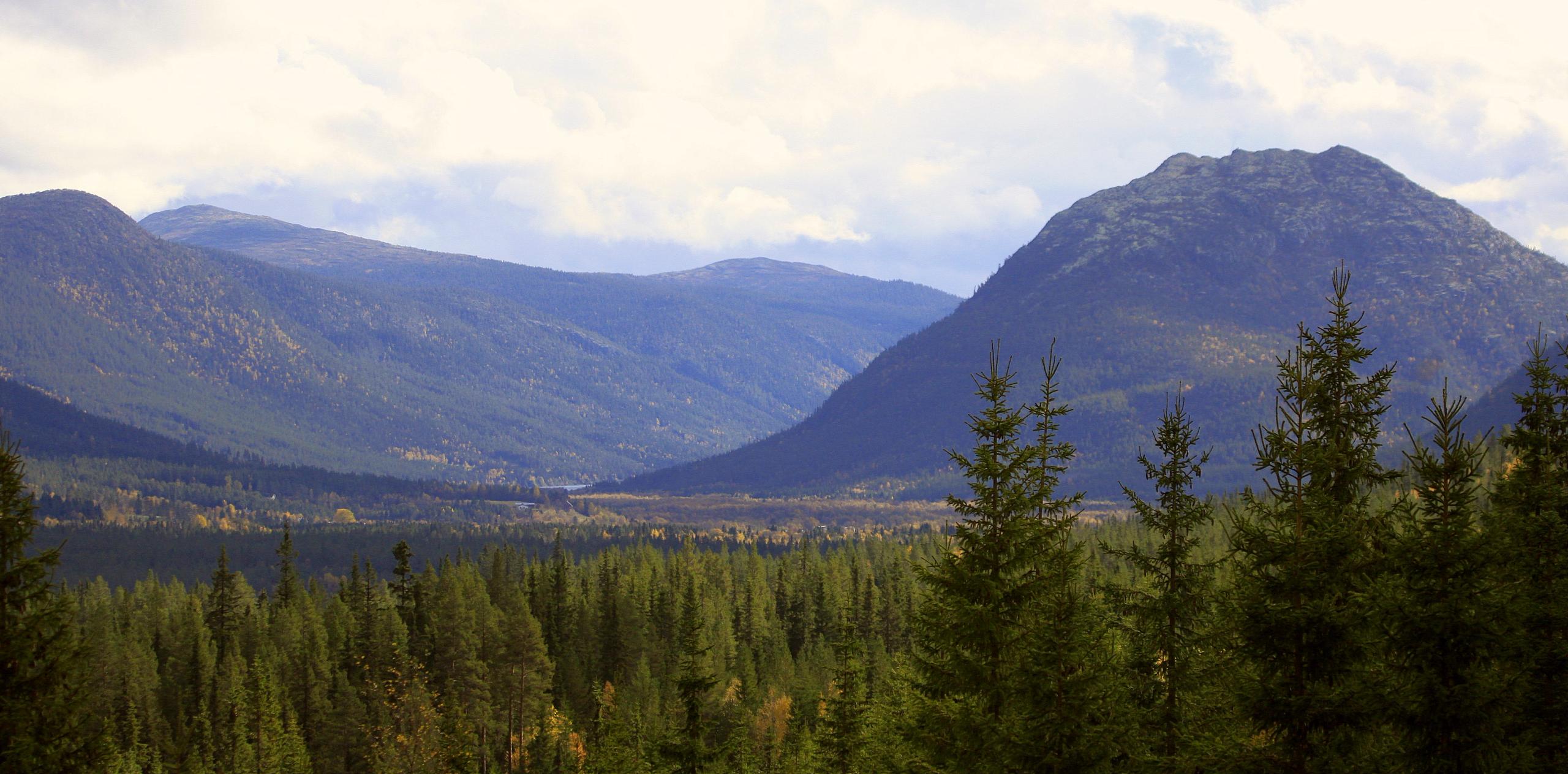 Gammeldalen