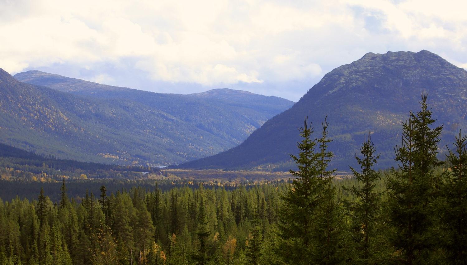 Gammeldalen