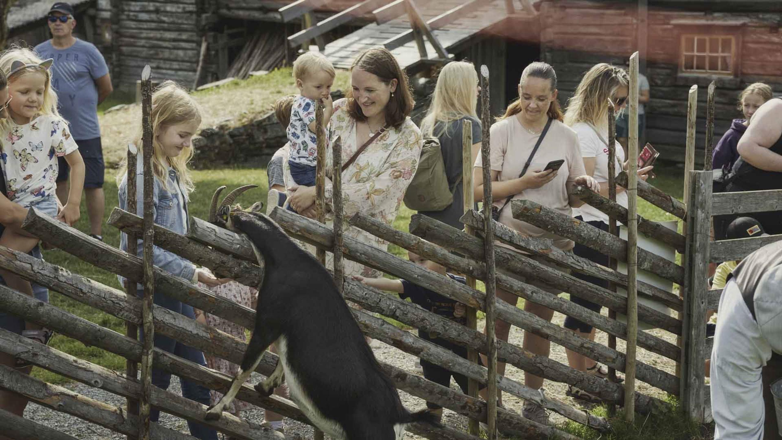 Sverresborg Trøndelag Folkemuseum