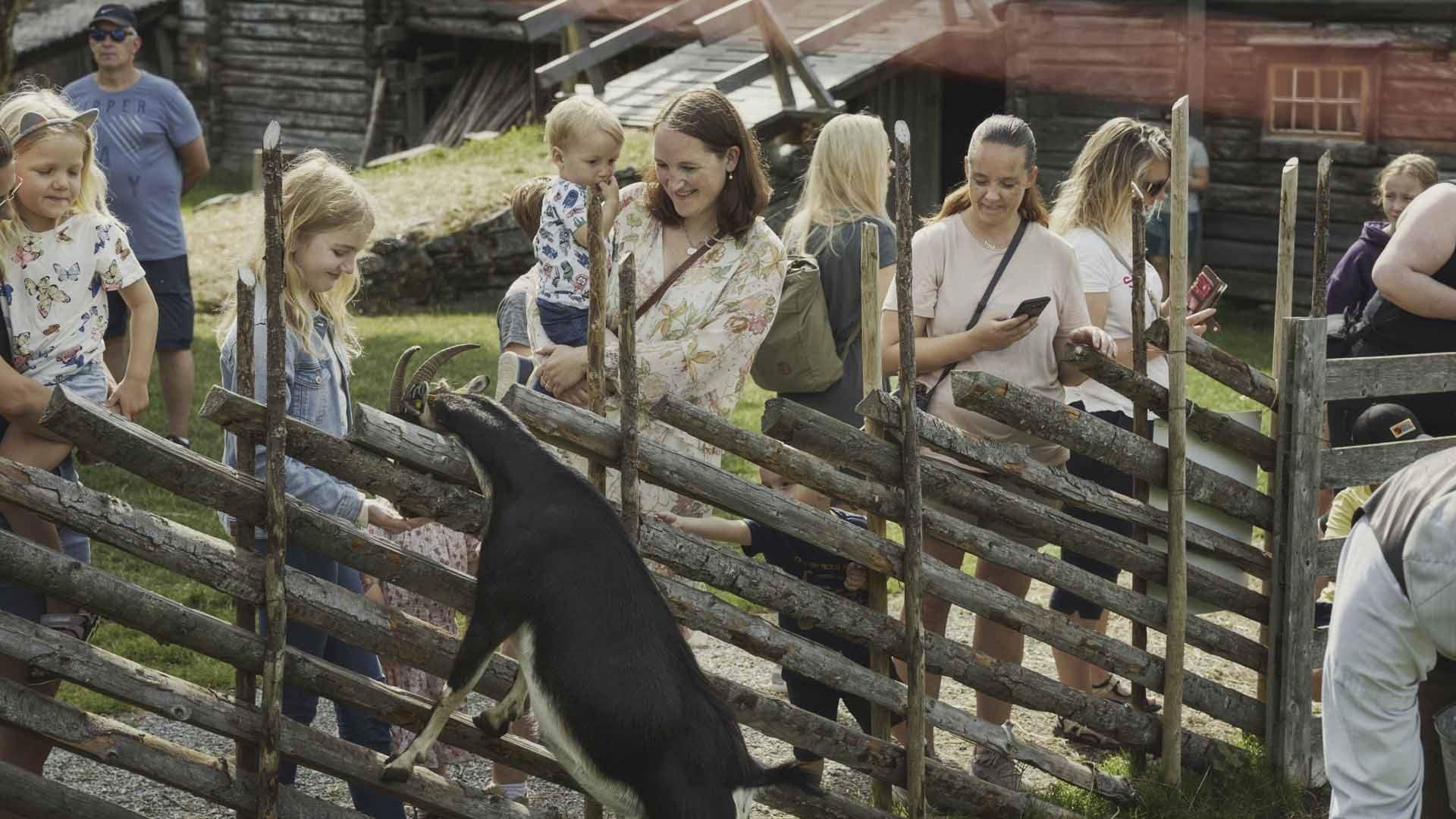 Sverresborg Trøndelag Folk Museum
