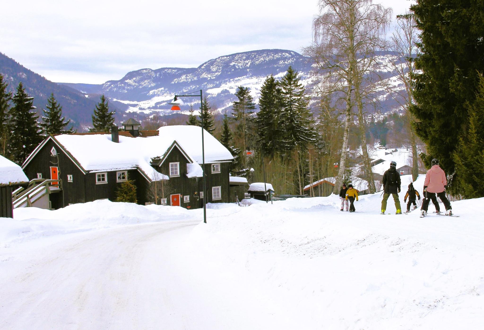 Eine Gruppe von Menschen, die im Schnee Ski fahren.