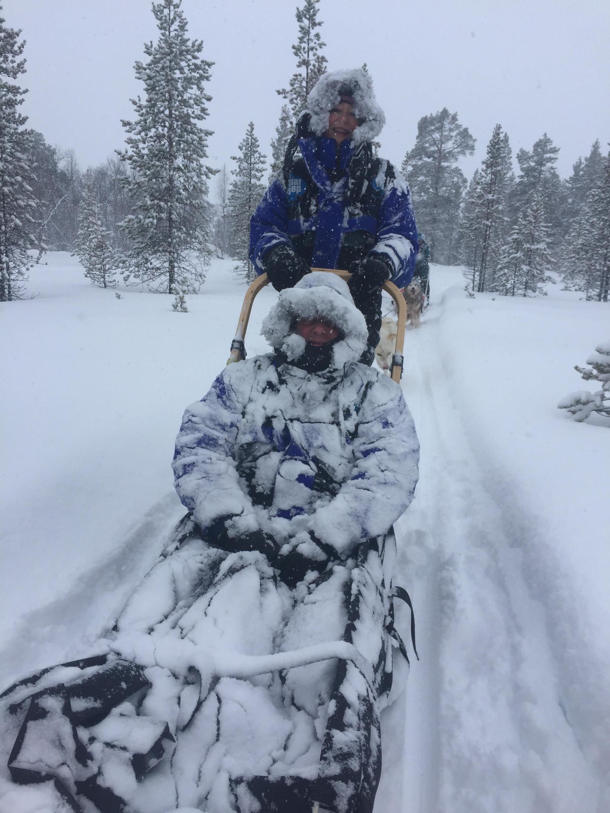 Hundeschlitten Tour mit Birk Husky