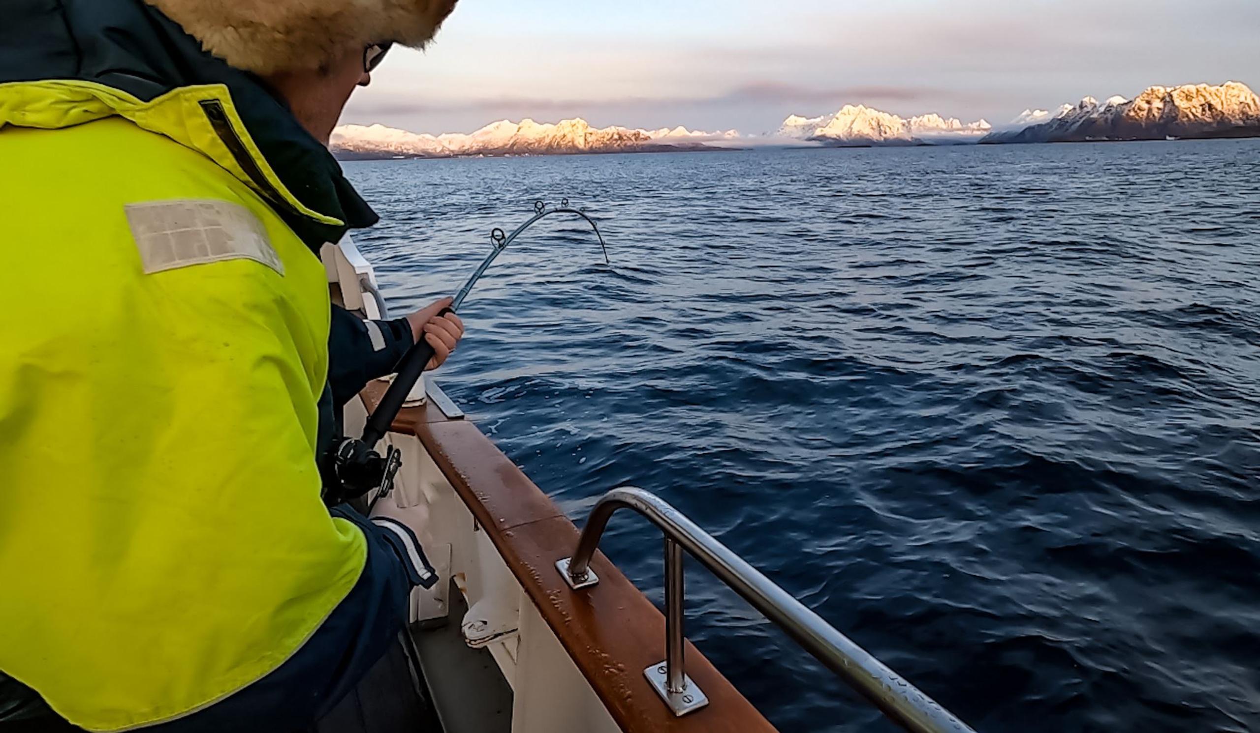 Cod fishing package with World Sea Explorers