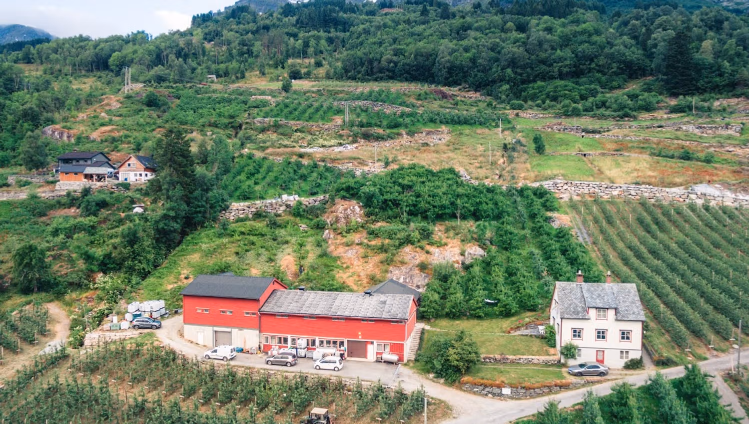 Aerial view of an orchard with production buildings in Hardanger, surrounded by fjord landscape.