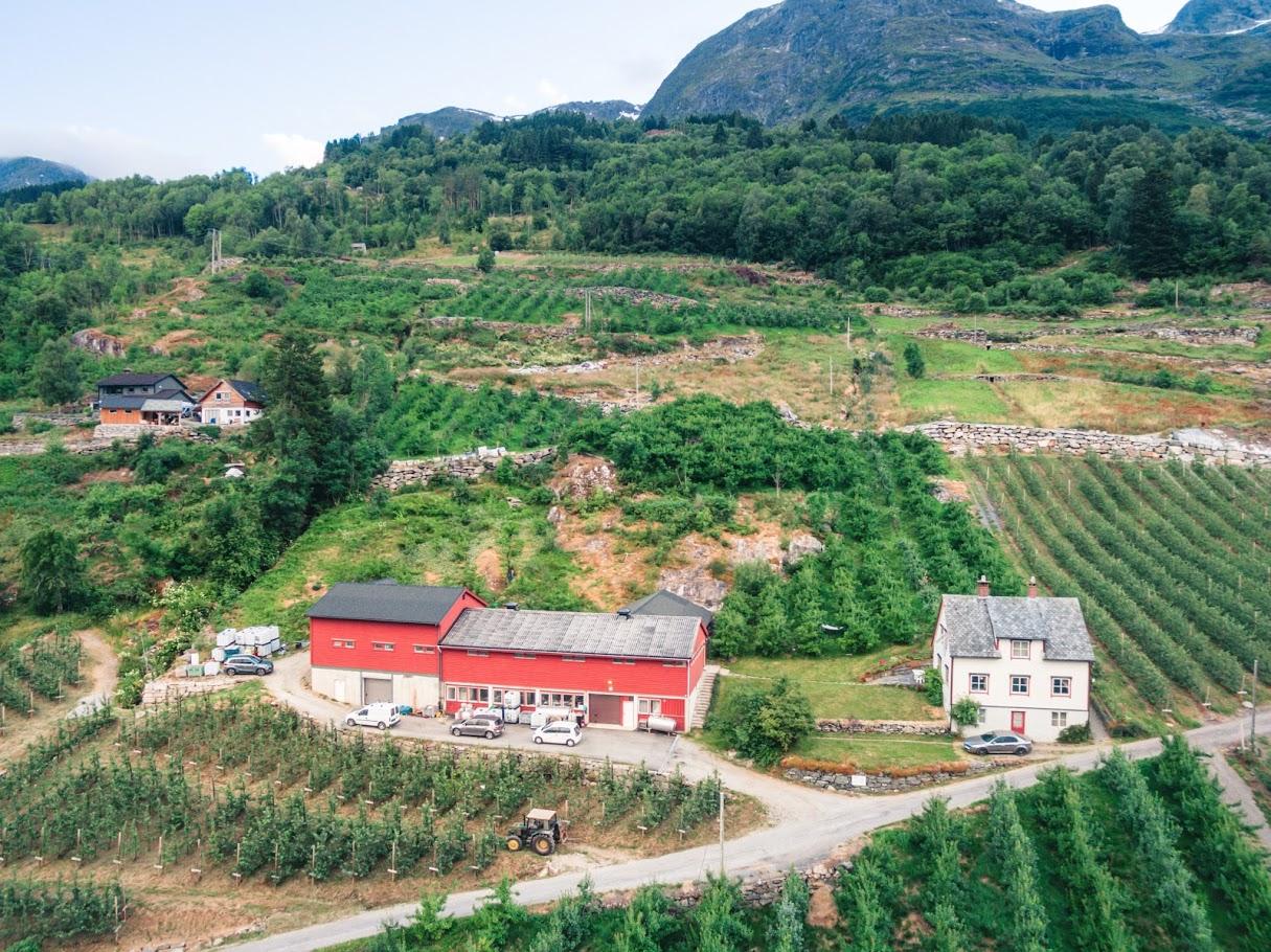 Aerial view of an orchard with production buildings in Hardanger, surrounded by fjord landscape.