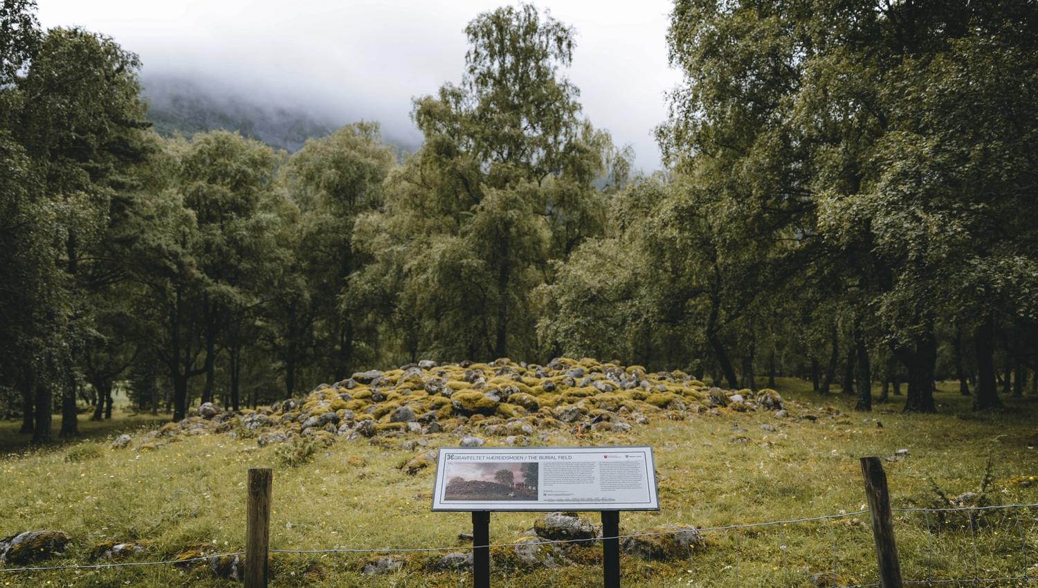 An information board in front of a viking grave.