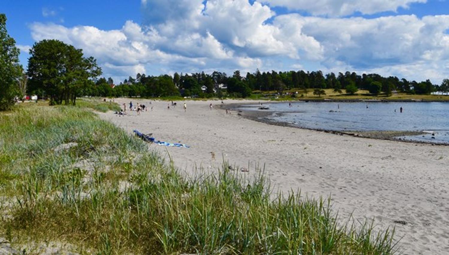 Beach