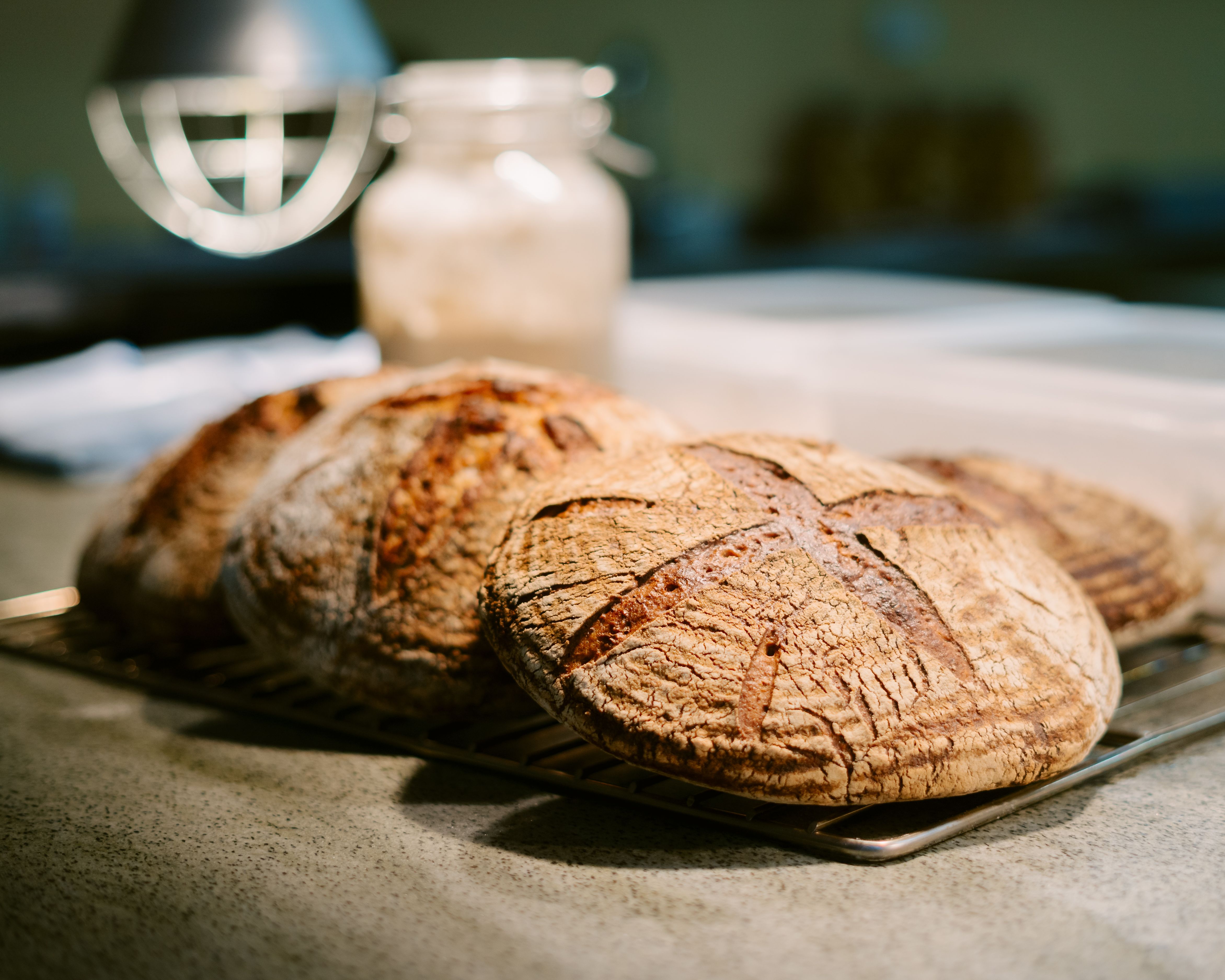 Restaurant brød