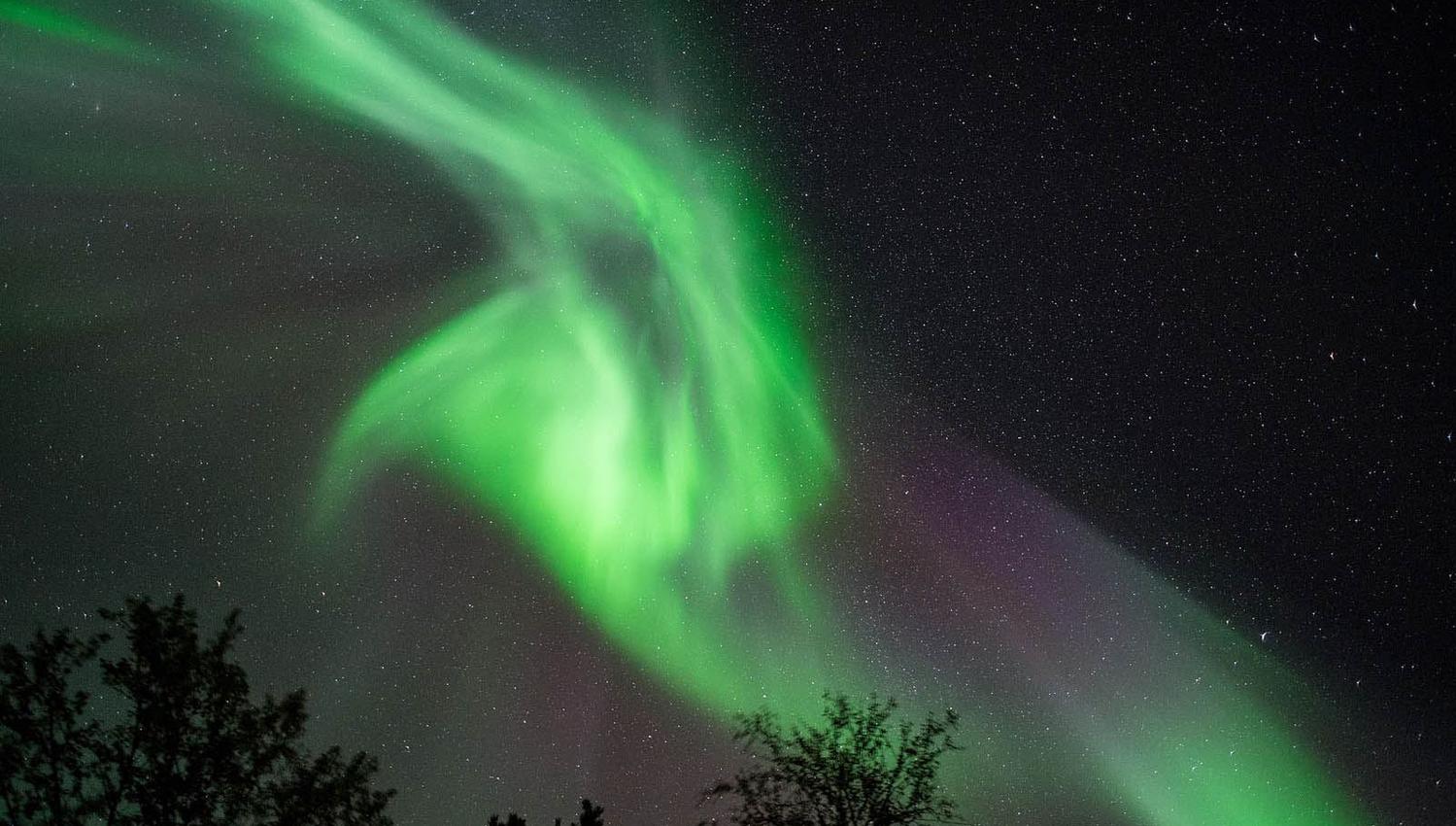 Northern lights near Tromsø