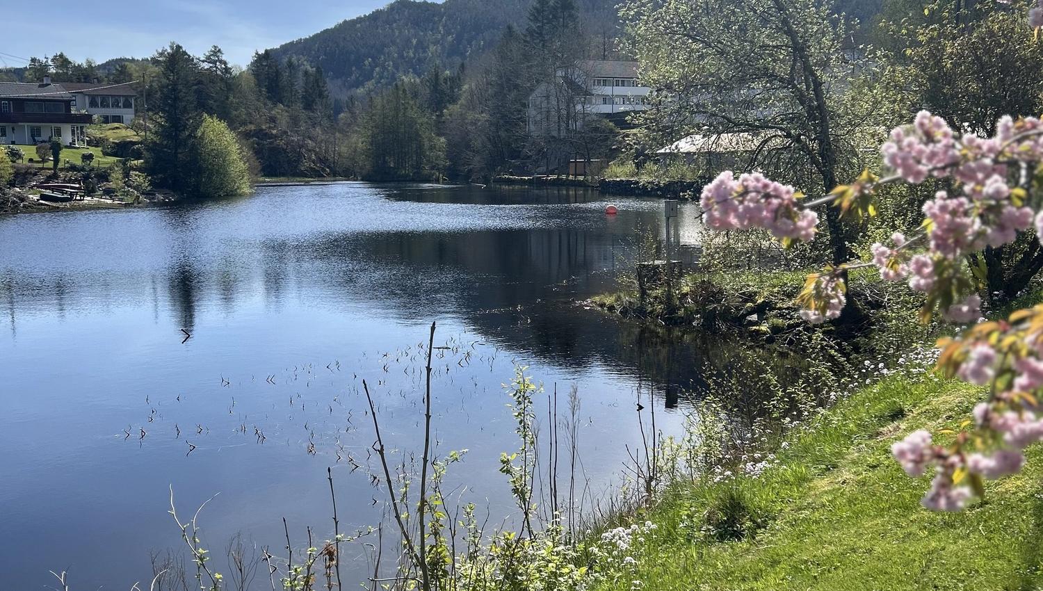 Osterøy Sauna