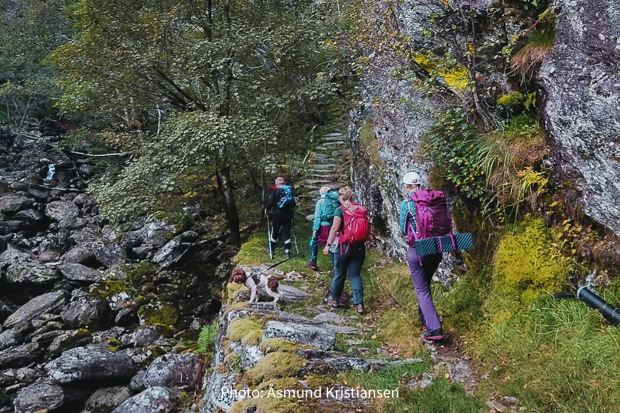 Group hiking along an old trail in forested mountain terrain in Hardanger, Norway
