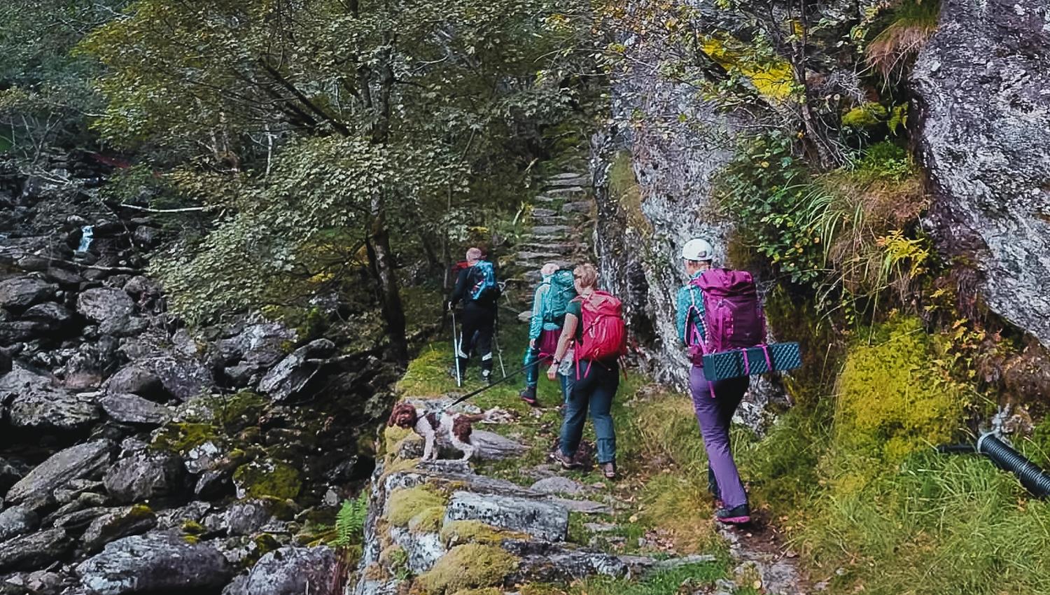 Group hiking along an old trail in forested mountain terrain in Hardanger, Norway