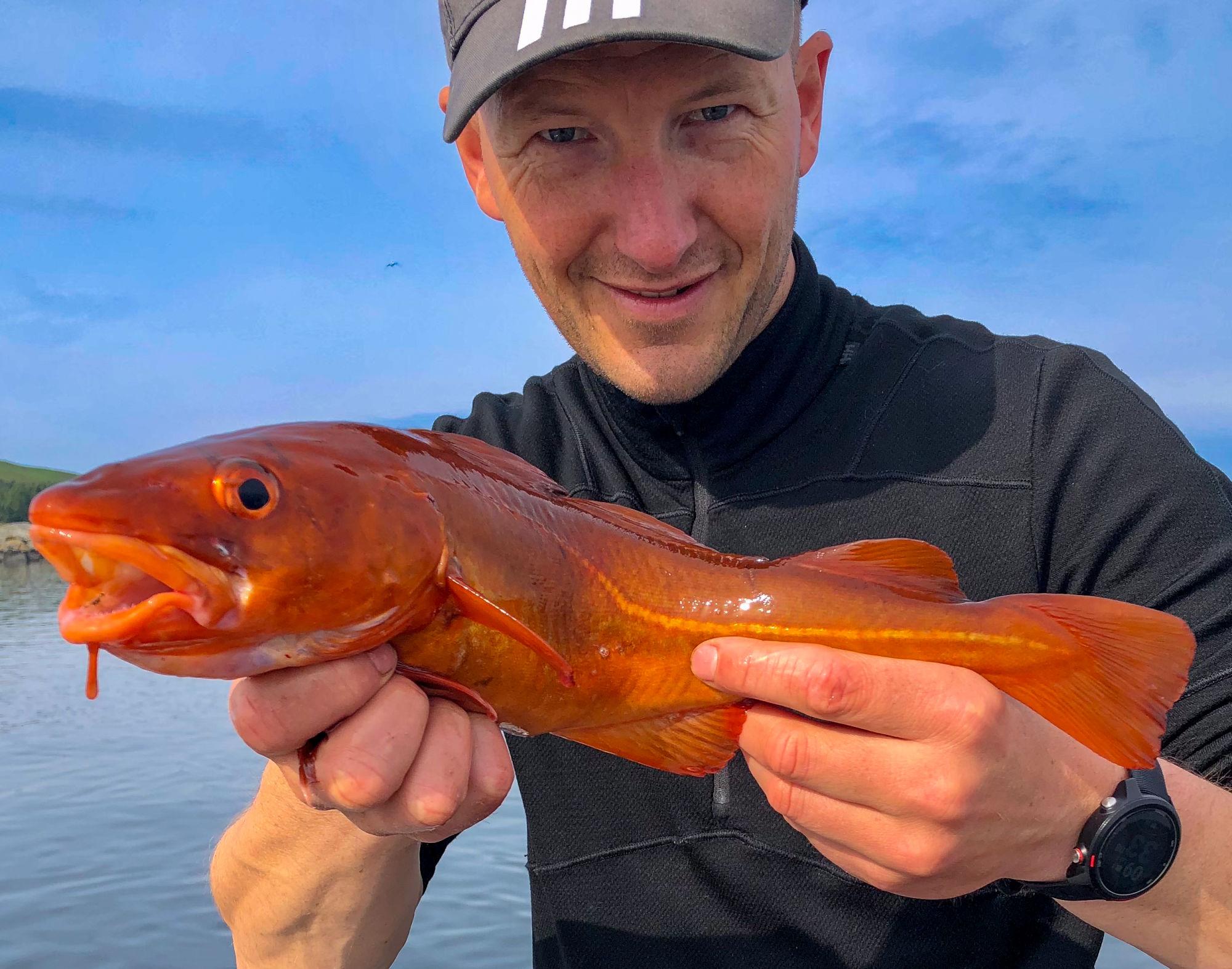 Full-Day Private Fishing Trip in Stavanger