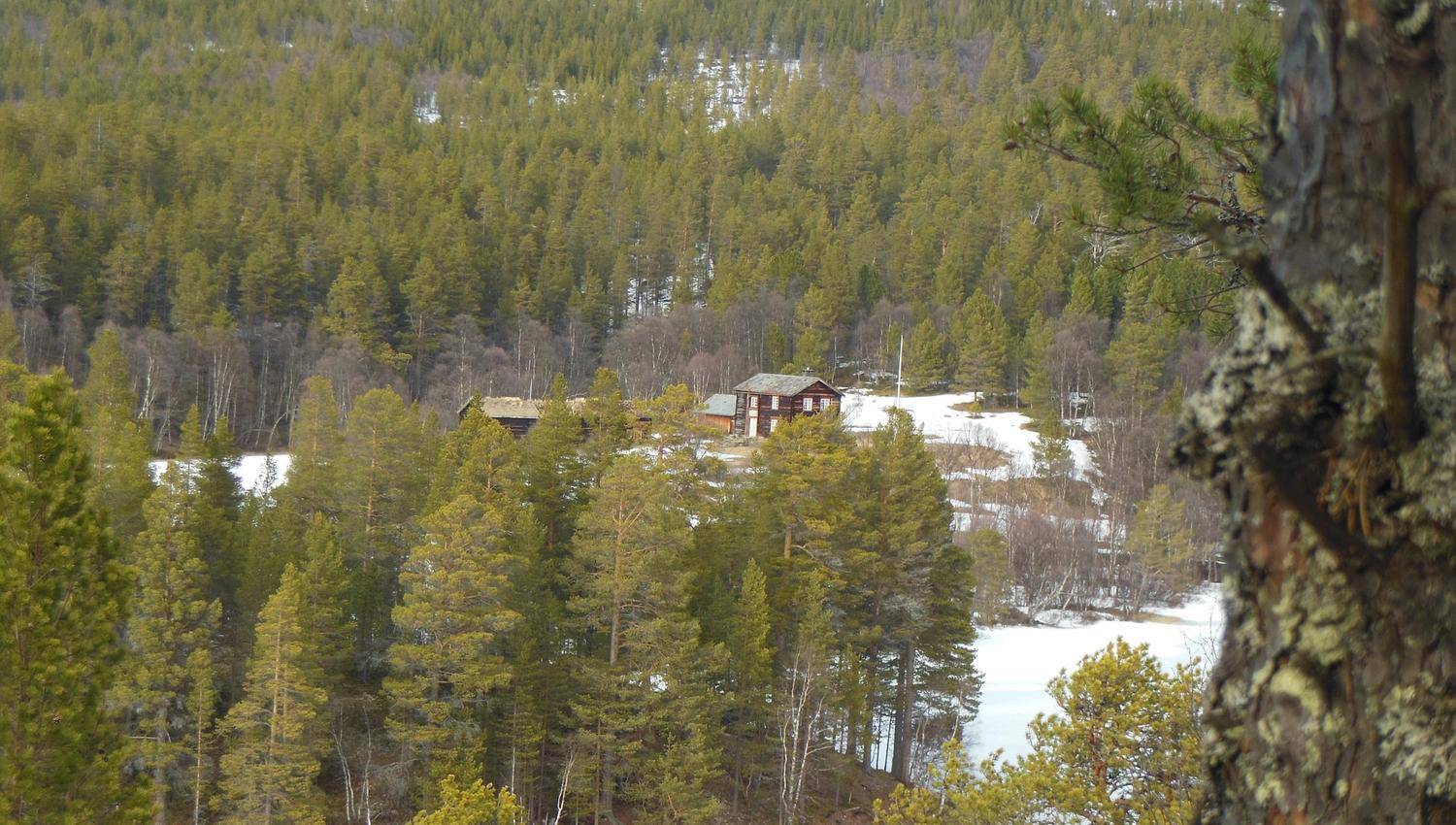 Gården