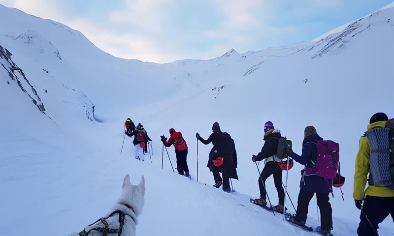 En hund sitter i forgrunnen og følger med på et turfølge på 11 personer som går mot fjellene i bakgrunnen.