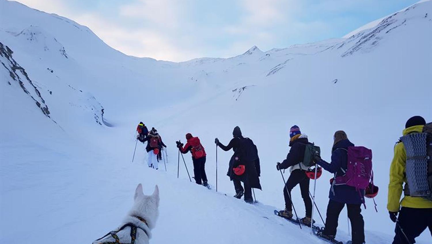 En hund sitter i forgrunnen og følger med på et turfølge på 11 personer som går mot fjellene i bakgrunnen.