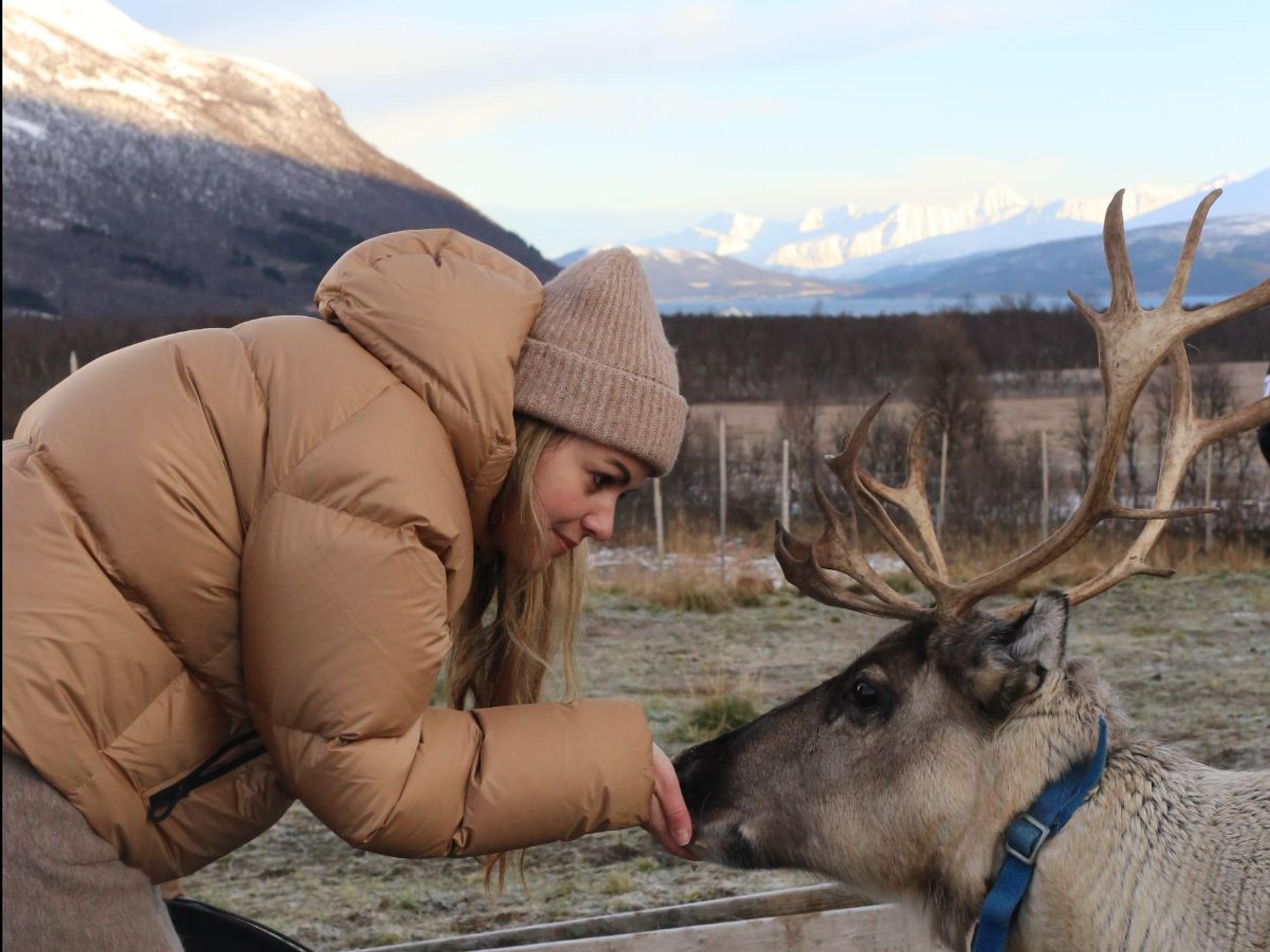 Reindeer Feeding and Sami Culture with Lunch in Autumn - Tromsø Lapland