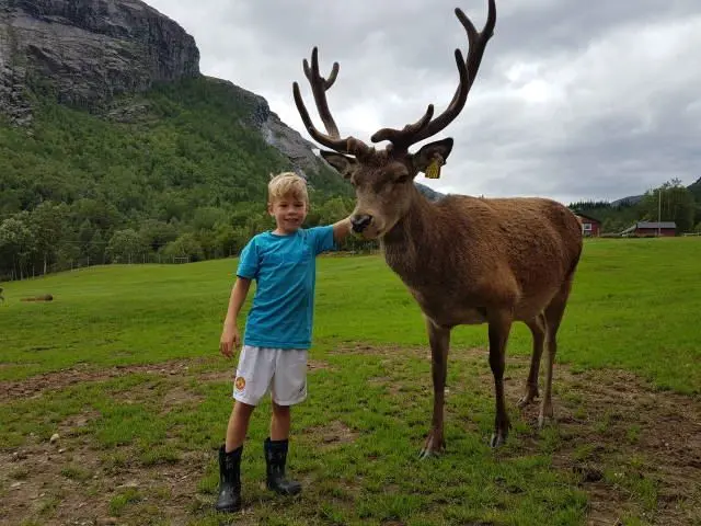 Visit the Hjortegarden | Knutholmen