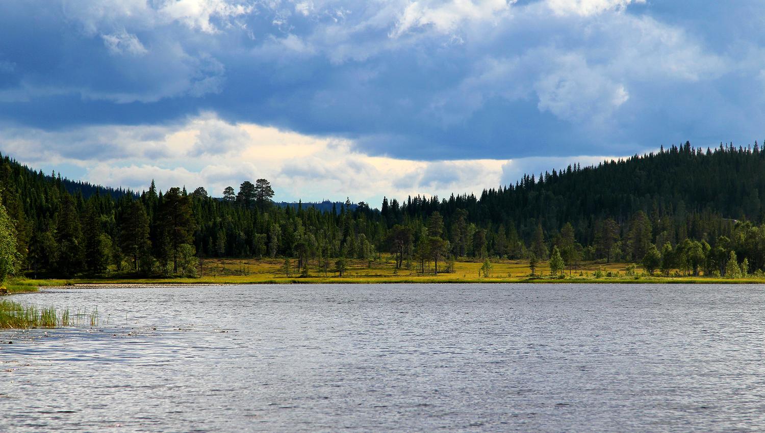 Roktsjøen lake in Snåsa