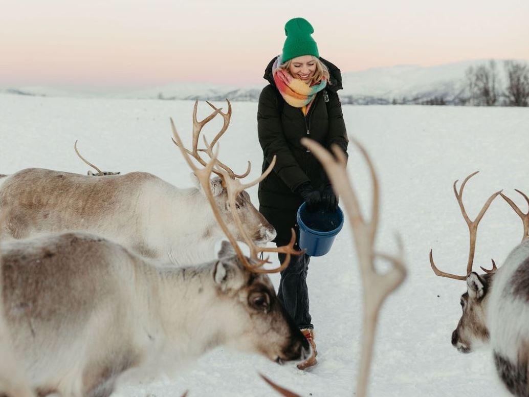 Feeding reindeers