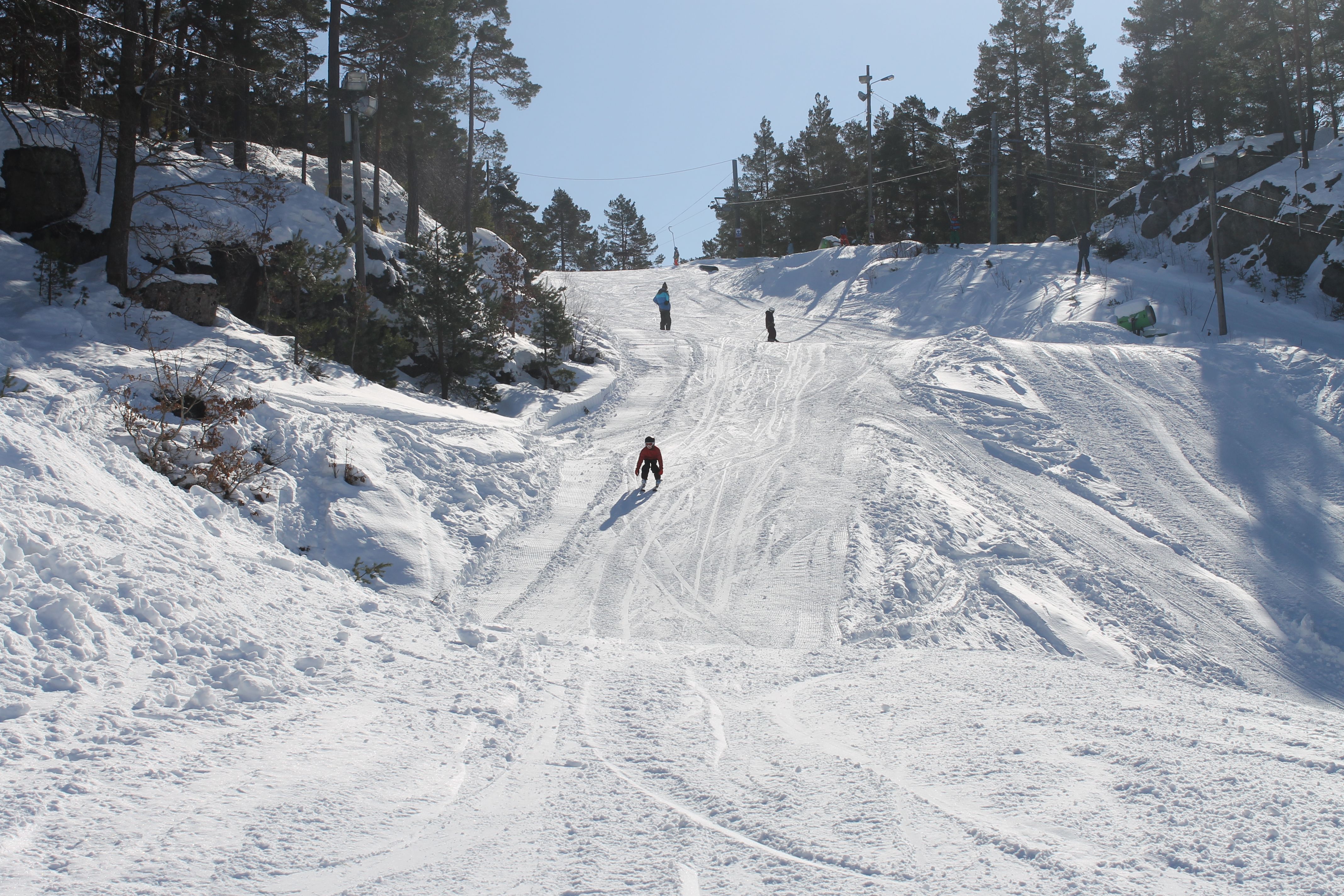 Alpint i Tveit skisenter
